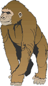 Grand singe